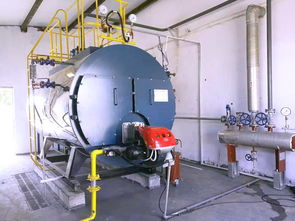 8吨燃气锅炉运行费用计算及报价分析