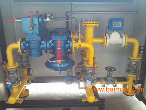 辽宁朝阳RTJ 50 1.6S型燃气调压器 生产厂家与价格解析